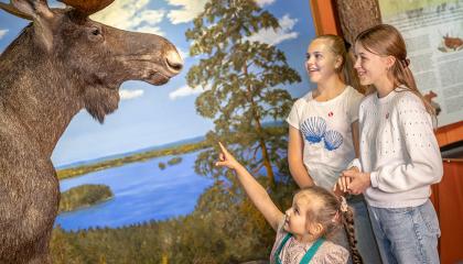 Kolme tyttöä katselee täytettyä hirveä näyttelytilassa. Pieni tyttö osoittaa eläimen turpaa. 