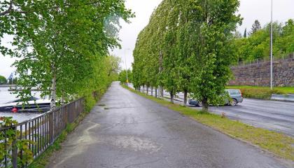 Paasikivenkadun vierustan kävely- ja pyöräväylä Mustalahdessa.