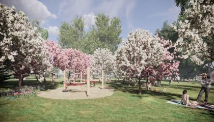 Kukkivia puita ja ihmisiä Järvensivunpuistossa.