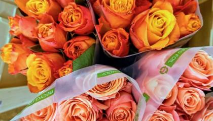 Neljä ruusukimppua.