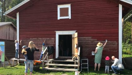 Vanhaa puurakennusta maalataan punaiseksi kesällä. Maalajat ovat aikuisia ja lapsia. Rakennuksen ovi on auki ja sisälle pääsee portaita.