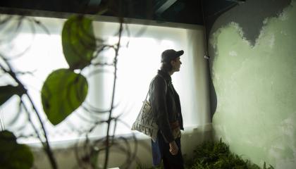 Henkilö katsoo vihreää seinää. Hänen vasemmalla puolellaan viherkasveja.