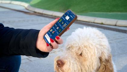 Koira katsoo naisen kädessä olevaa kännykkää