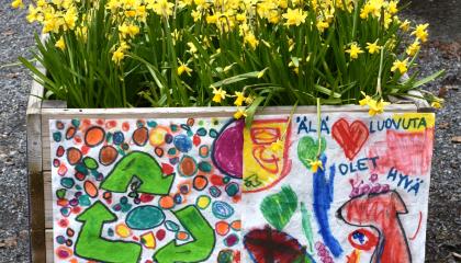 Narsisseja istutuslaatikossa, jonka kyljessä lasten tekemiä julisteita.