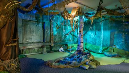 Sinivihreä tila, jonka keskellä koivun runko, seinän vierustalla penkkejä.