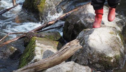 Virtaava Pärrinkoski keväällä.