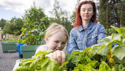 Anna Pyökkilehti ja hänen tyttärensä puutarhalaatikon äärellä