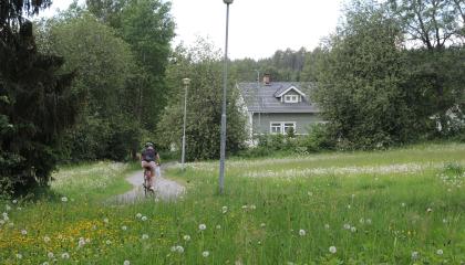 Niitty, jonka takana vihreä talo.