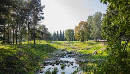 Kuvassa puita ja kasvillisuutta, keskellä kivikkoinen oja ja penkki.