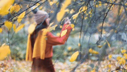 Ihminen syysmetsässä.