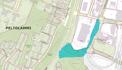Peltolammin maaliskuun 2025 puunkaadot kartalla.
