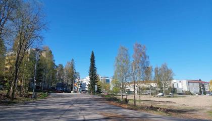 Katualuetta, puita ja kerrostaloja.