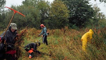 Talkoolaisia haravoimassa ja touhuamassa niityllä.