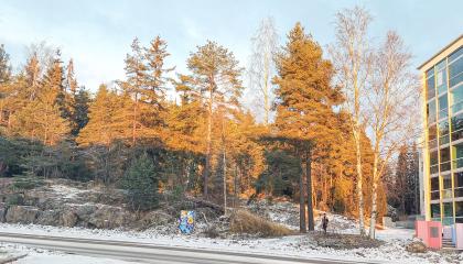 Ristimäki on kallioinen ja puustoinen tontti, jonka vieressä on uudehko kerrostalo.
