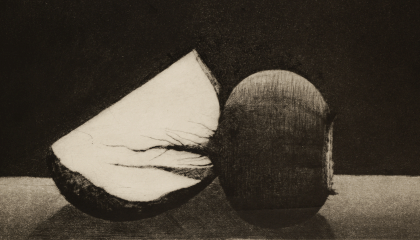 Mustavalkoinen grafiikanvedos dramaattisesti valaistusta lantunpalasta, jonka halkaistua pintaa vasten piirtyy punajuuren juuri varjoineen.