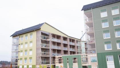 Puukerrostalojen rakennustyömaalla nousee erivärisiä taloja.