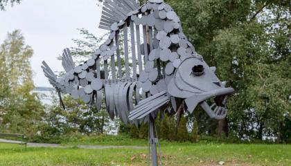 Kalaa esittävä metallinen veistos seisoo nurmikolla. 