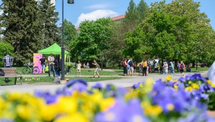 Ihmiset viettävät aikaa kesäisessä puistossa.