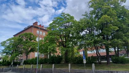 Juhannuskylän koulun Tammerkosken koulutalo kesällä.
