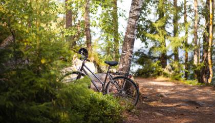 Polkupyörä parkkeerattuna Kaupin metsässä.