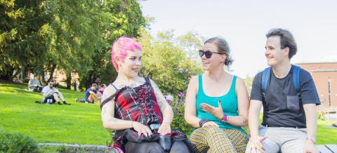 Kolme tamperelaista Koskipuistossa kesällä keskustelemassa. Yksi heistä käyttää pyörätuolia.