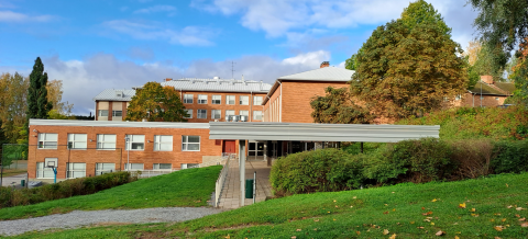 Kaarilan koulun sadekatos