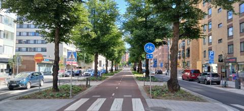 Rongankadun pyöräilybaana kesäisenä päivänä. Kadun reunoilla on autoja parkissa. Pyöräilybaanaa rajaavat iso puut.