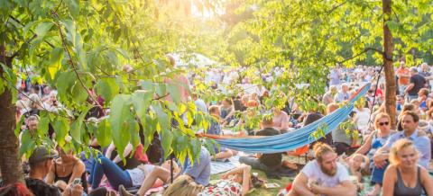 Puiden lehtien läpi heijastuu valoa ja näkyy ihmisiä puistossa nauttimassa kulttuurista.