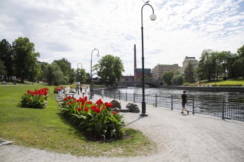 Koskipuisto kesällä.