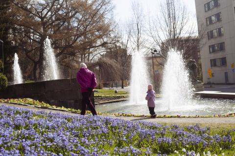 Kaksi ihmistä ihastelemassa Näsipuiston suihkulähdettä.