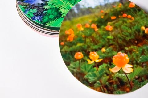 Pyöreitä kasviaiheisia värikkäitä kortteja.