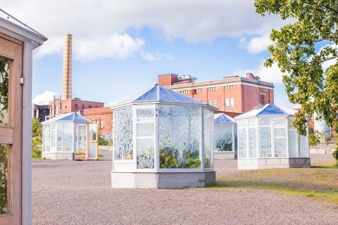 Hiedanrannassa oleva lasikuutiooinen puutarha.