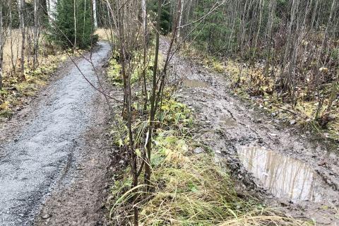 Kaksi mutaista polkua, joista toinen on vielä toistakin mutaisempi.