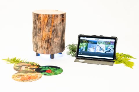 Kelopuun vieressä on tablettitietokone ja pyöreitä luontokortteja.