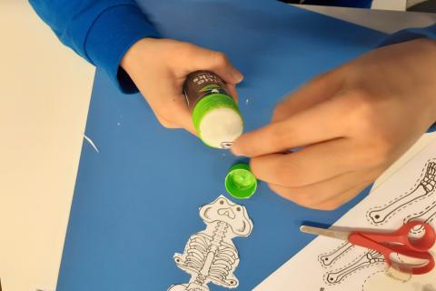 Luurangon liimaaminen