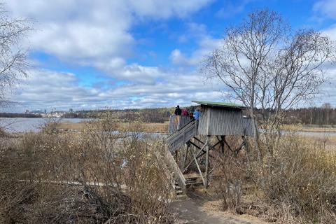Ihmiset kiikaroivat lintuja lintutornilla.