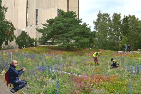 Ulkoilijoita Liisanpuiston kukkakedolla Kalevan kirkon takana. 