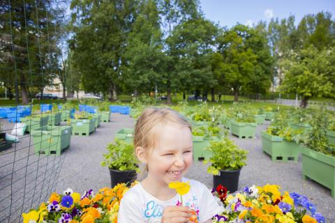 Anna Pyökkilehto&#039;s child Elena in the community garden in front of the growing boxes