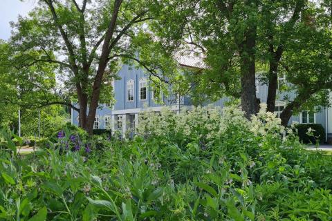 AhlmanEdun kampuksen puistoaluetta.