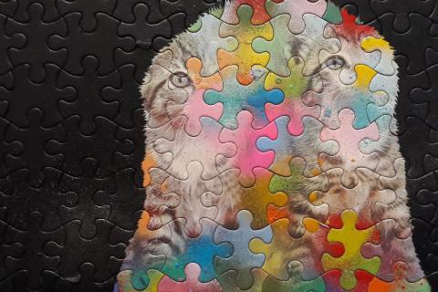 Palapelissä näkyy osittain kaksi kissaa ja erivärisiä värialueita.