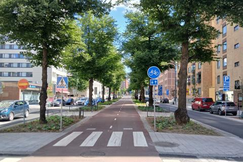 Rongankadun pyöräilybaana kesäisenä päivänä. Kadun reunoilla on autoja parkissa. Pyöräilybaanaa rajaavat iso puut.