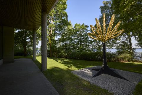 Keltasävyisistä lasipalloista koostuva taideteos kesäisessä maisemassa.