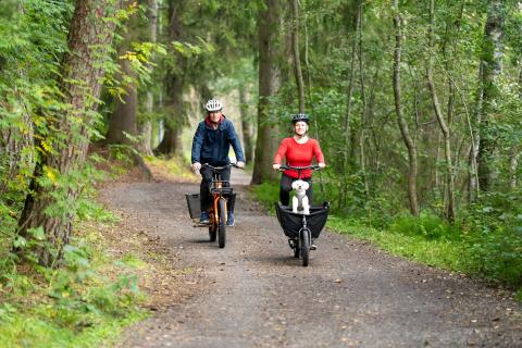 Kaksi henkilöä pyöräilee metsässä, toisella laatikkopyörä, jossa kyydissä koira.