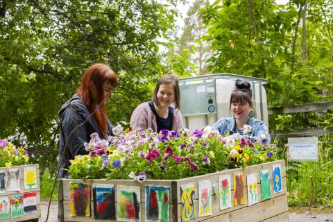  Liisa Aholainen, Janina Ahlfors ja Mirjam Larinkari istuvat taideistutusten vieressä Haiharan taidemuseon vieressä.