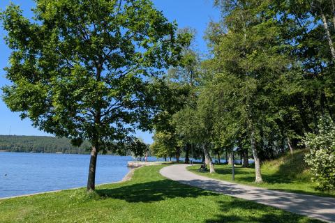 Hatanpään kartanopuiston kävelytie Pyhäjärven rannassa.
