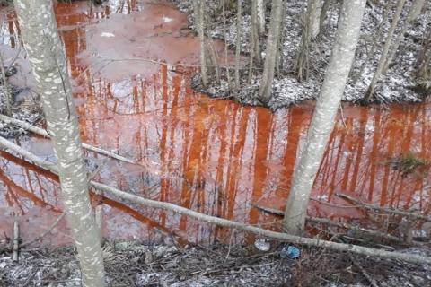 Rautapitoista vettä ojassa.