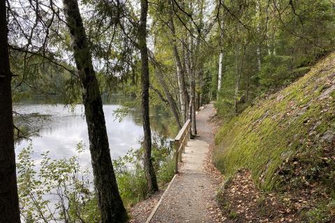 Polku, jonka katkaisee kapea silta. Toisella puolella on vesistöä ja toisella puolella rinne.