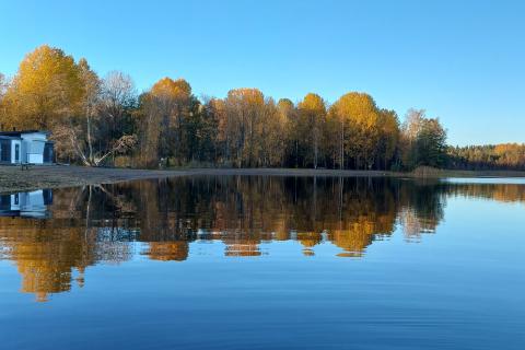 Kuvassa uimaranta, syksyisiä puita sekä pukukoppirakennus.