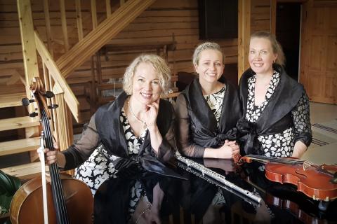 Trio Sointu members and instruments.