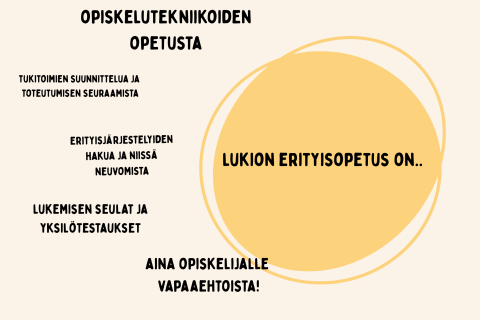 Erityisopetusta lukiossa